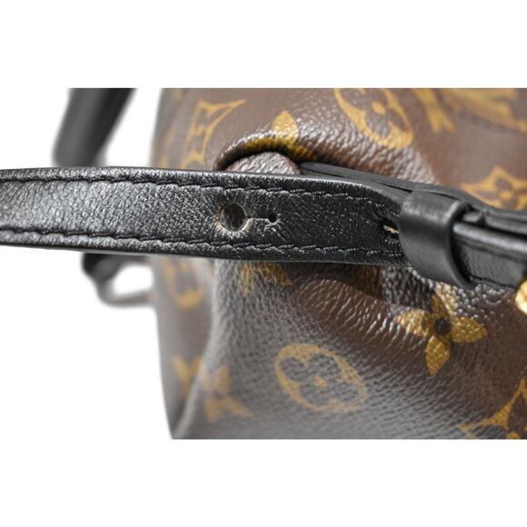 Louis Vuitton Palm Springs Backpack PM Monogram Rucksack - Picture 12 of 13